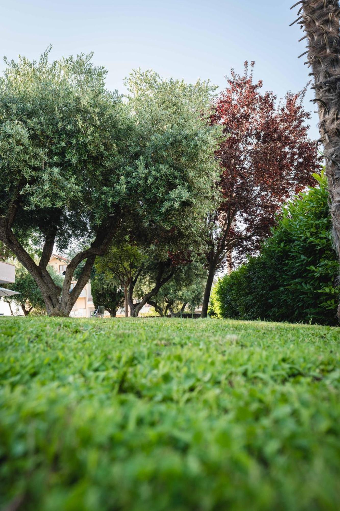 Relais Tra Gli Ulivi Villa Ortona Ngoại thất bức ảnh